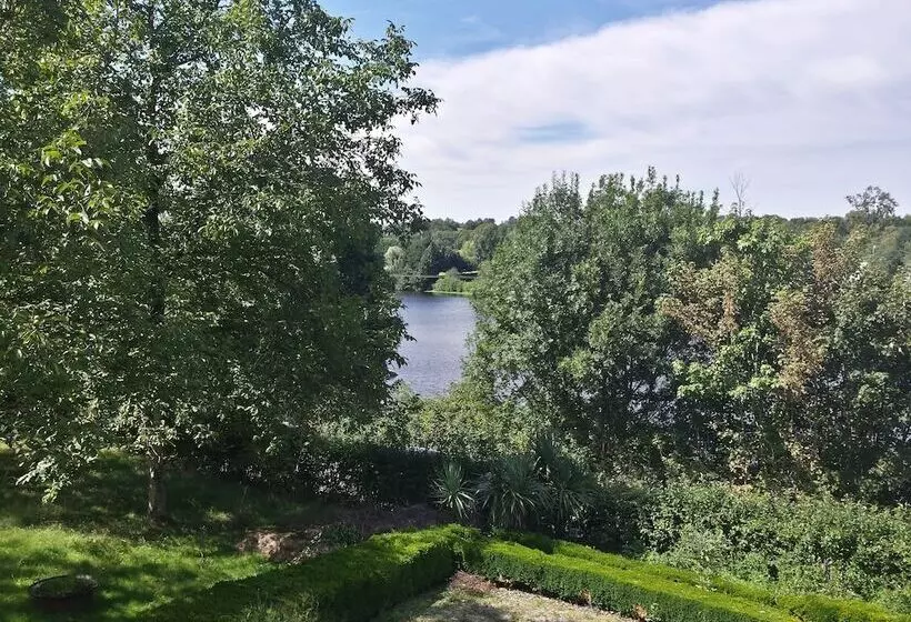 Bed and Breakfast 13 Bees