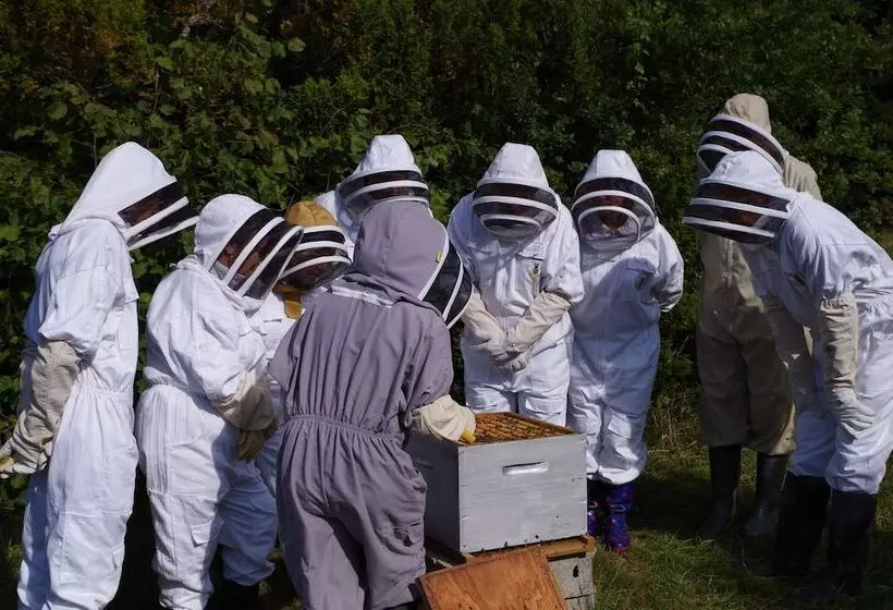 Bed and Breakfast 13 Bees