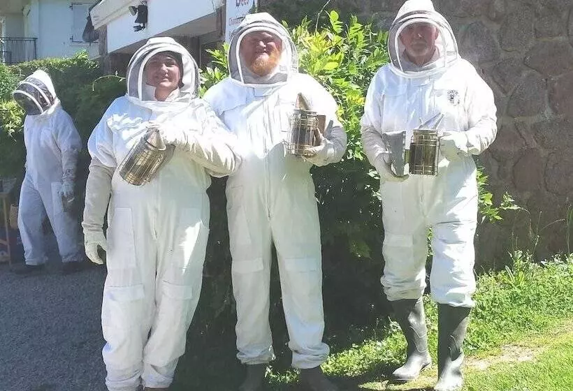 Bed and Breakfast 13 Bees