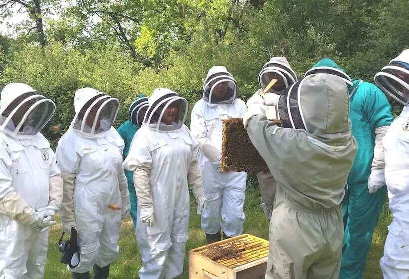 Bed and Breakfast 13 Bees