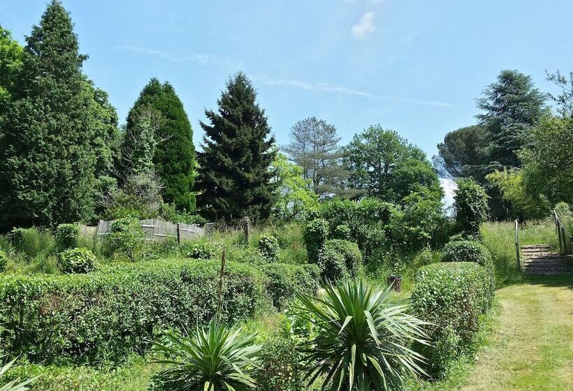 مبيت وإفطار 13 Bees