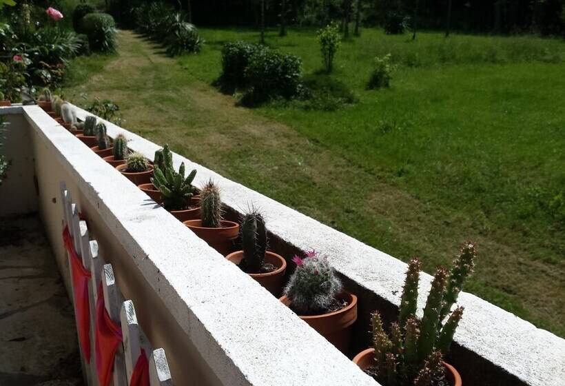 مبيت وإفطار 13 Bees