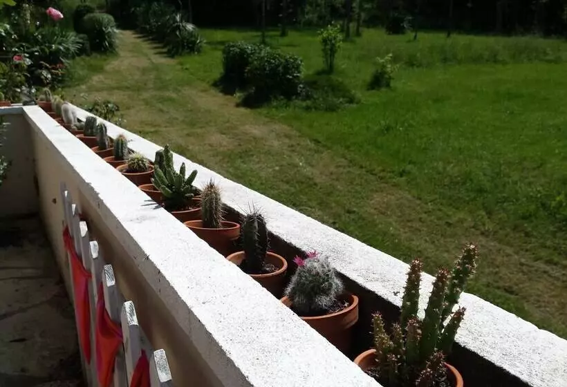 Bed and Breakfast 13 Bees