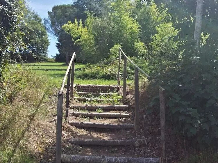 Bed and Breakfast 13 Bees