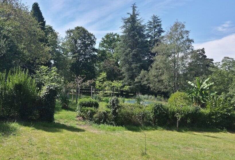 مبيت وإفطار 13 Bees