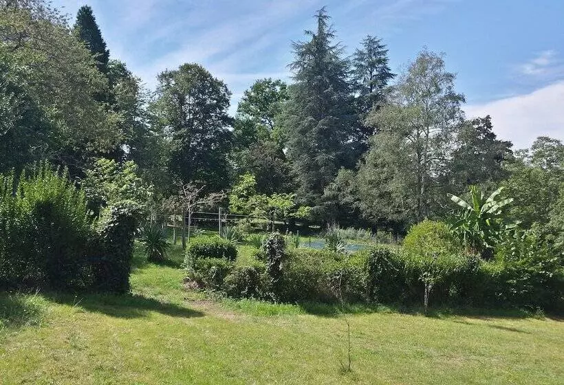 Bed and Breakfast 13 Bees