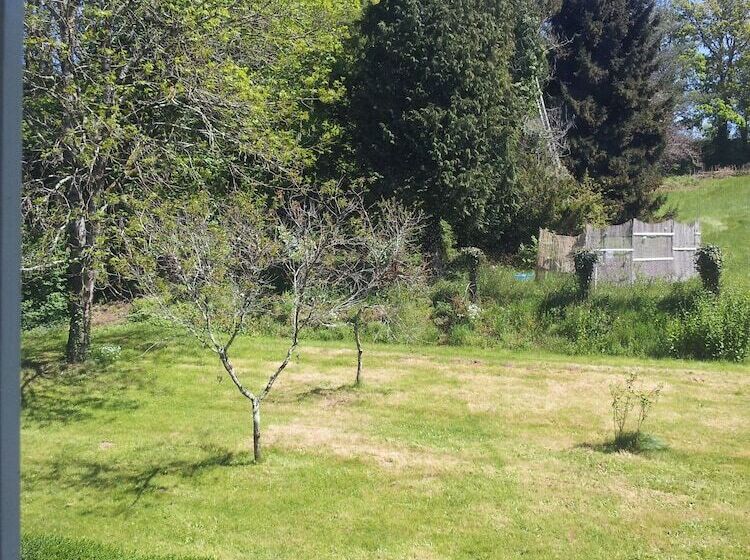 مبيت وإفطار 13 Bees