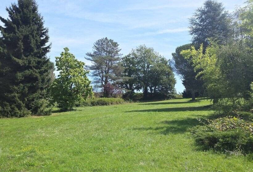 مبيت وإفطار 13 Bees