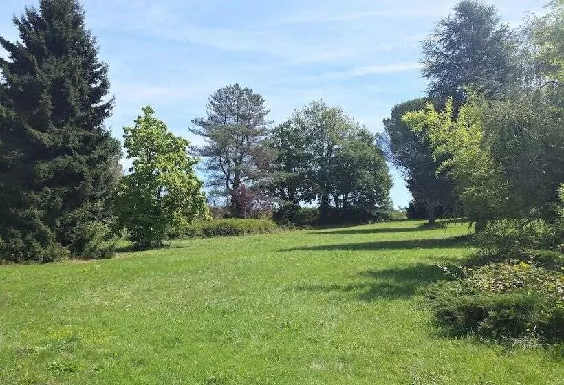 Bed and Breakfast 13 Bees