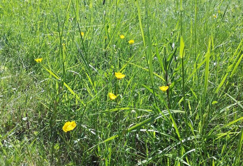 مبيت وإفطار 13 Bees