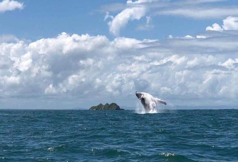 هتل Cabinas Bahía Uvita   Marino Ballena National Park Lodge