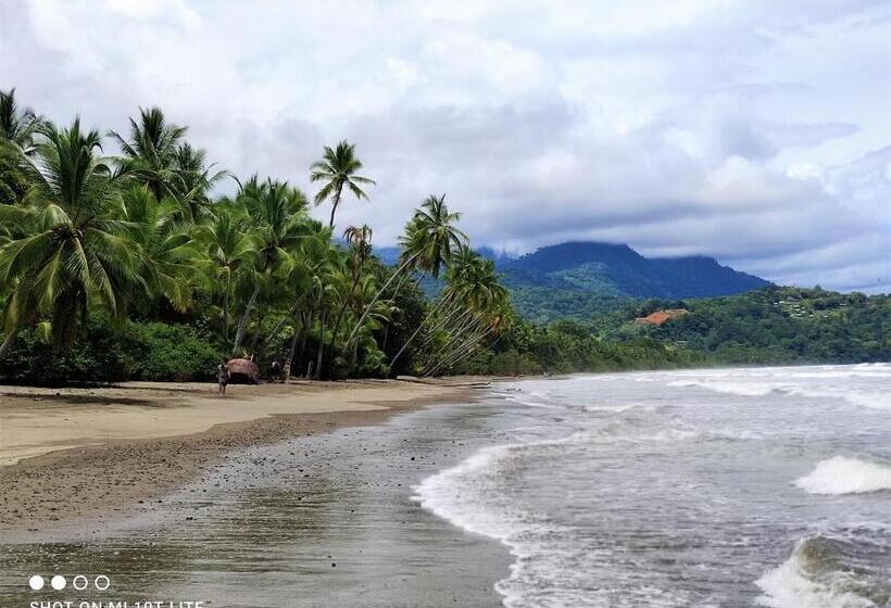 هتل Cabinas Bahía Uvita   Marino Ballena National Park Lodge
