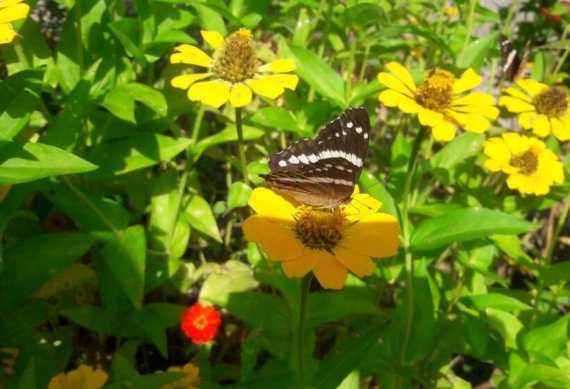 هتل Cabinas Bahía Uvita   Marino Ballena National Park Lodge