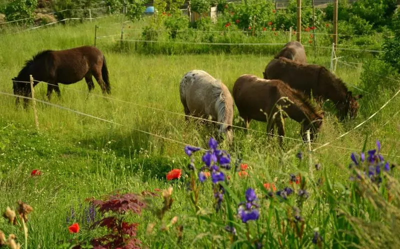 Garni Hotel Lavendelhof