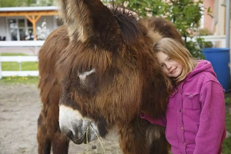 Garni Hotel Lavendelhof