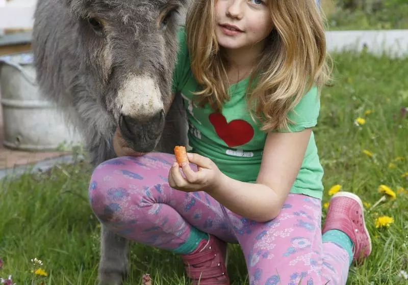 Garni Hotel Lavendelhof