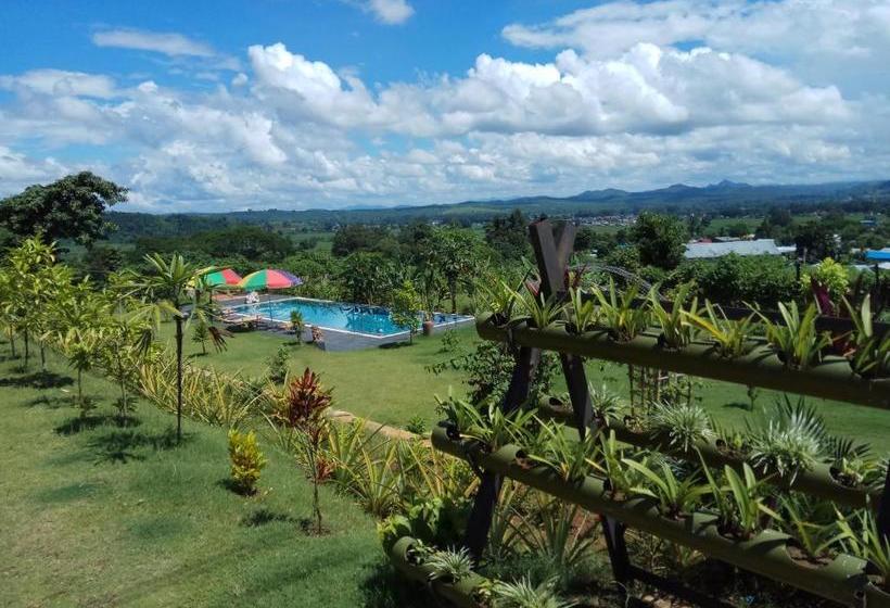 هتل Kumudra Hill  Mountain View