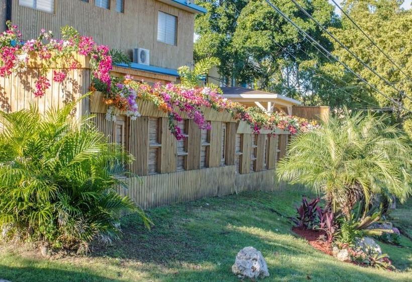 هتل West Coast Inn S