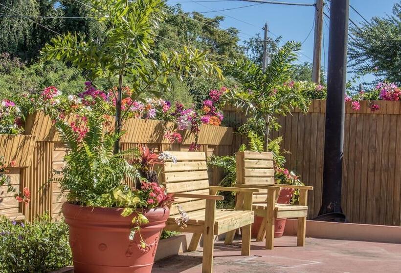 هتل West Coast Inn S