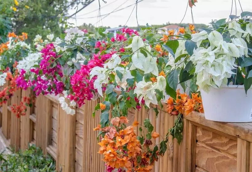 هتل West Coast Inn S