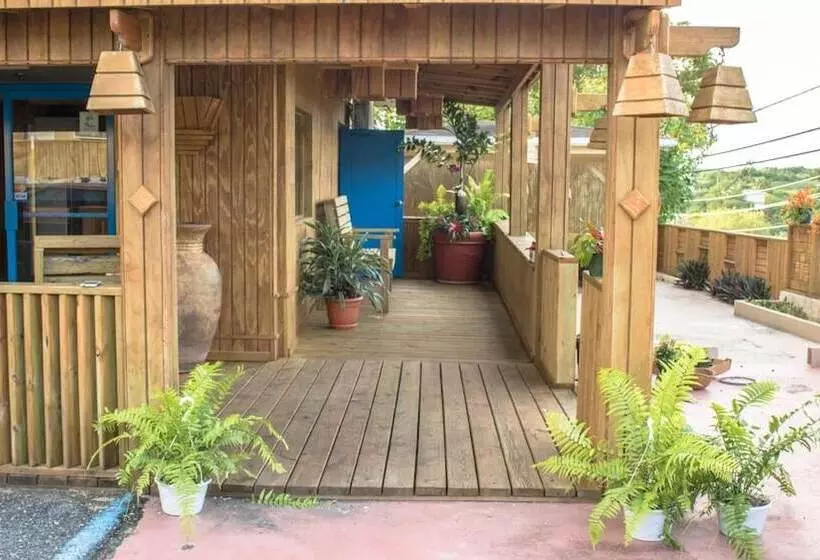 هتل West Coast Inn S