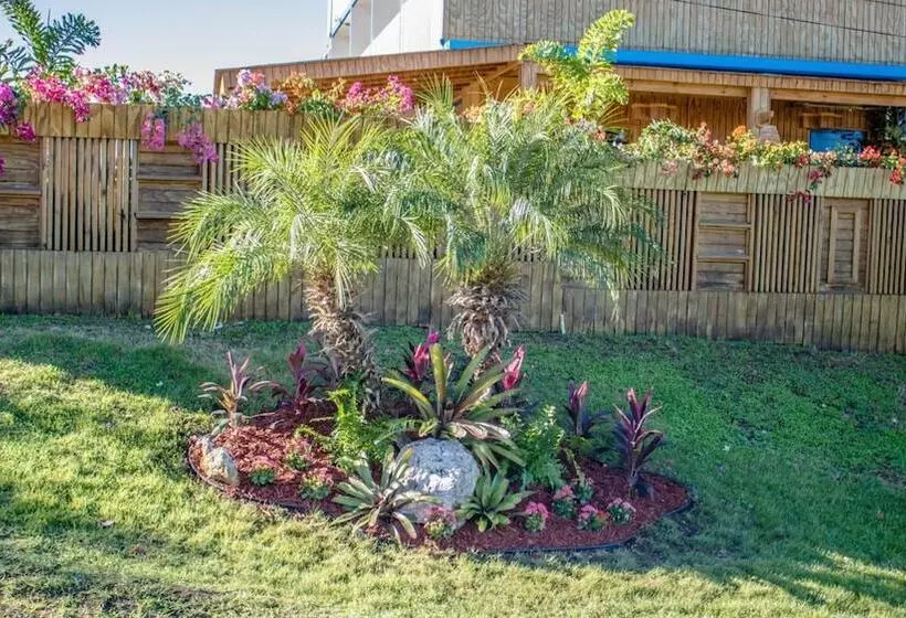 هتل West Coast Inn S