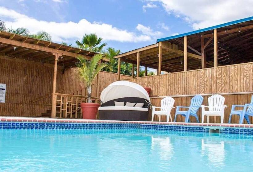 هتل West Coast Inn S