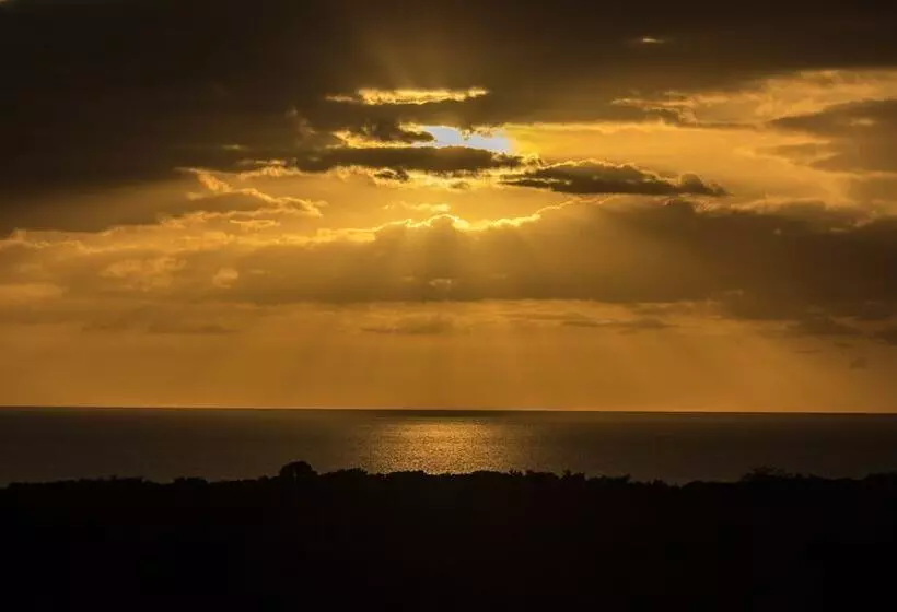 هتل West Coast Inn S