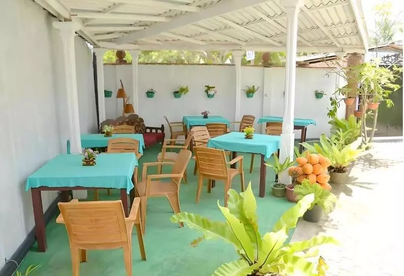 Traveller S Hostel Hikkaduwa