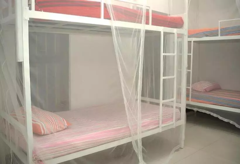 Traveller S Hostel Hikkaduwa