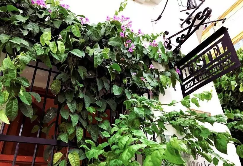 Retkeilymaja Casa La Bella Samaria Boutique