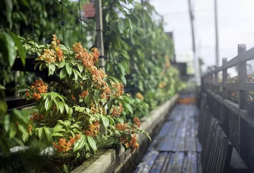 Retkeilymaja House Of My Eternal Love   Kulai Homestay