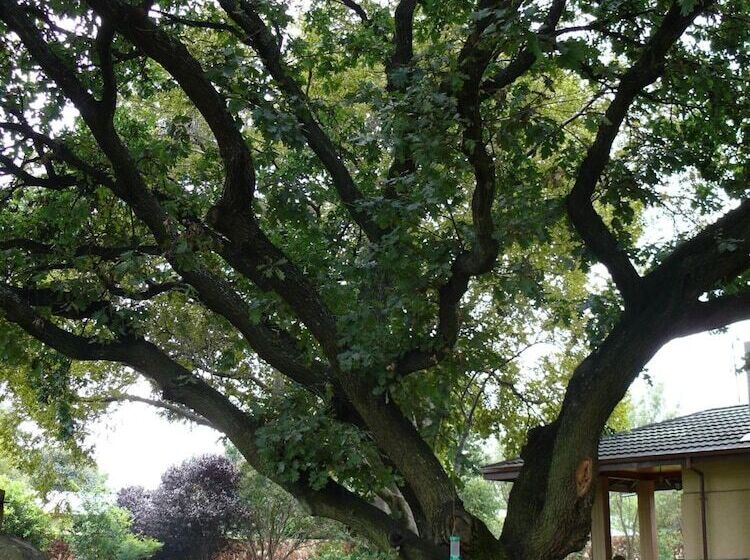 Bed & Breakfast 42onking