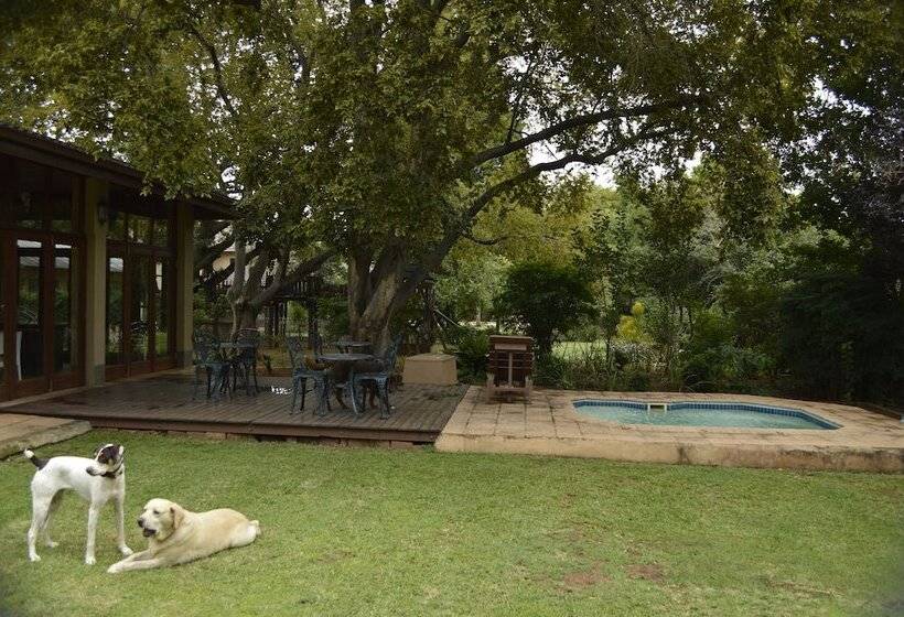 Bed & Breakfast 42onking