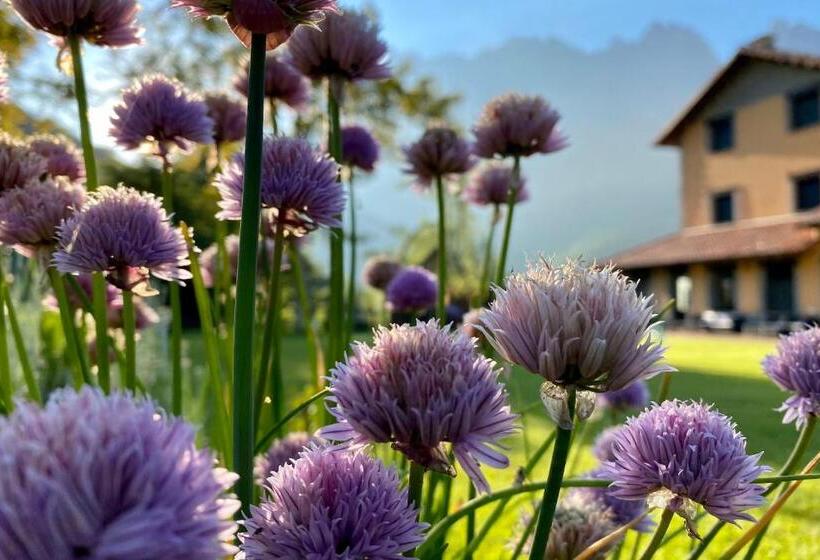 تختخواب و صبحانه Eigón