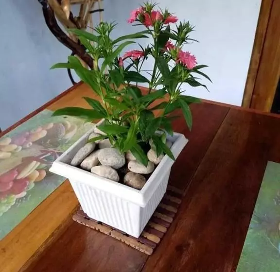 Bed and Breakfast The Horizon Root Inn