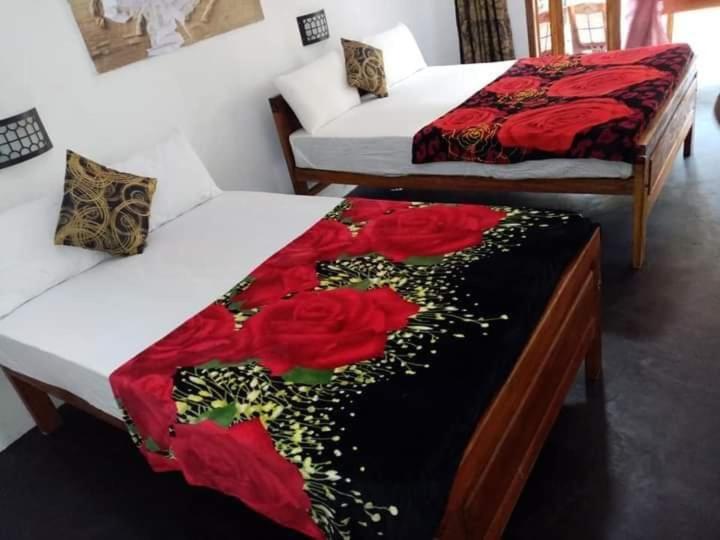 Nocleg ze śniadaniem The Horizon Root Inn