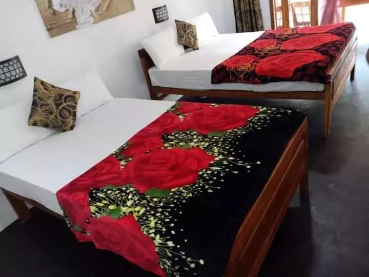 Bed and Breakfast The Horizon Root Inn