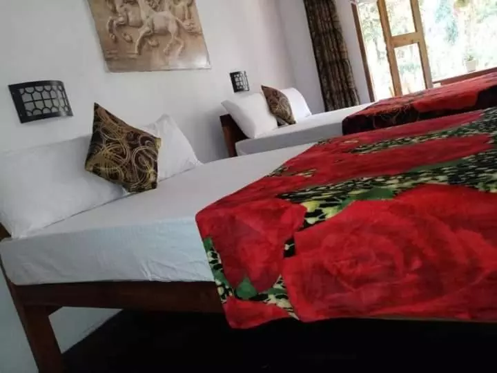 Bed and Breakfast The Horizon Root Inn