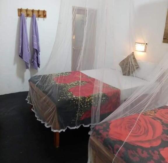 Nocleg ze śniadaniem The Horizon Root Inn