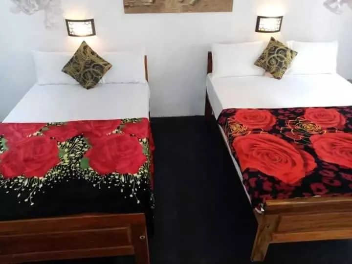 Bed and Breakfast The Horizon Root Inn