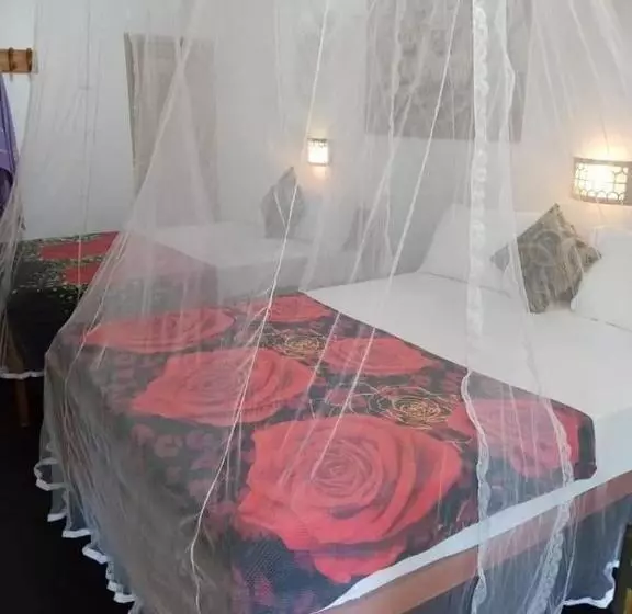 Bed and Breakfast The Horizon Root Inn