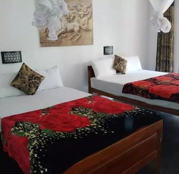 Bed and Breakfast The Horizon Root Inn