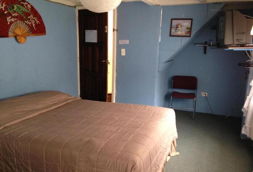 Otel Mansion Samzara Hosteleria