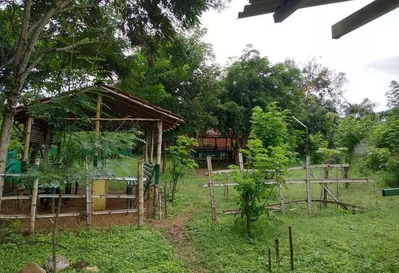 Lomakeskus Mist Valley