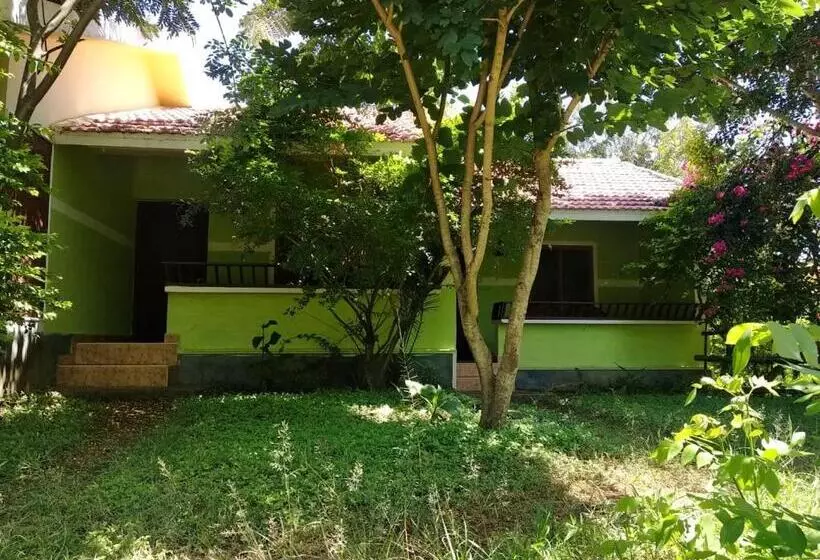 Lomakeskus Mist Valley