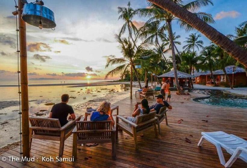 渡假胜地  The Mud   Eco