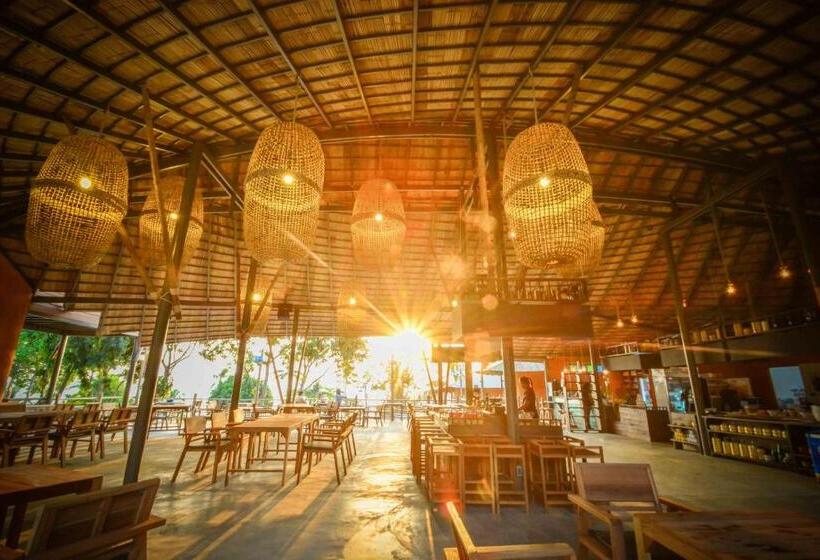 渡假胜地  The Mud   Eco