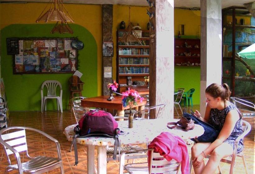 Hostel Hostal Maxima