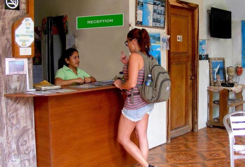 Hostel Hostal Maxima